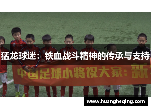 猛龙球迷：铁血战斗精神的传承与支持